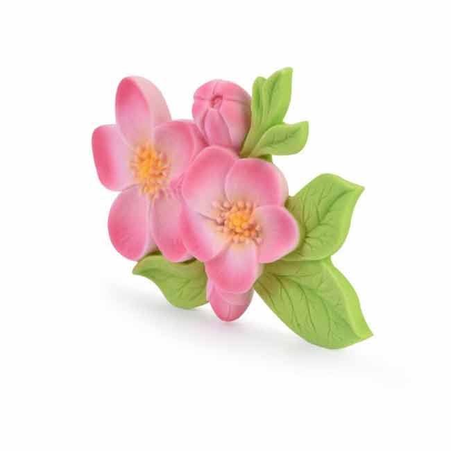 Fiore Pesco in Zucchero Decorazioen Torta